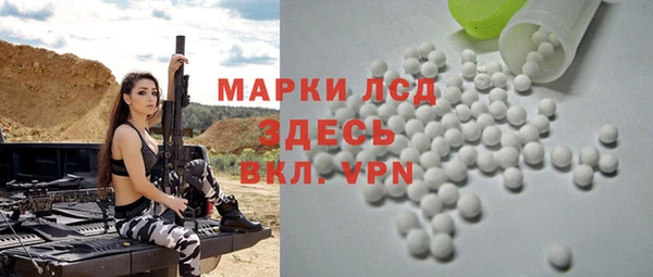 индика Алексин
