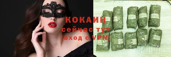 индика Алексин