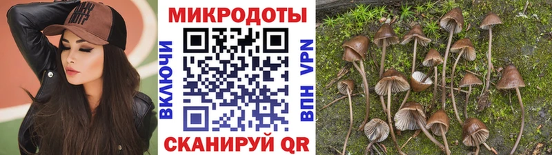 KRAKEN зеркало Алупка Галлюциногенные грибы Psilocybine cubensis